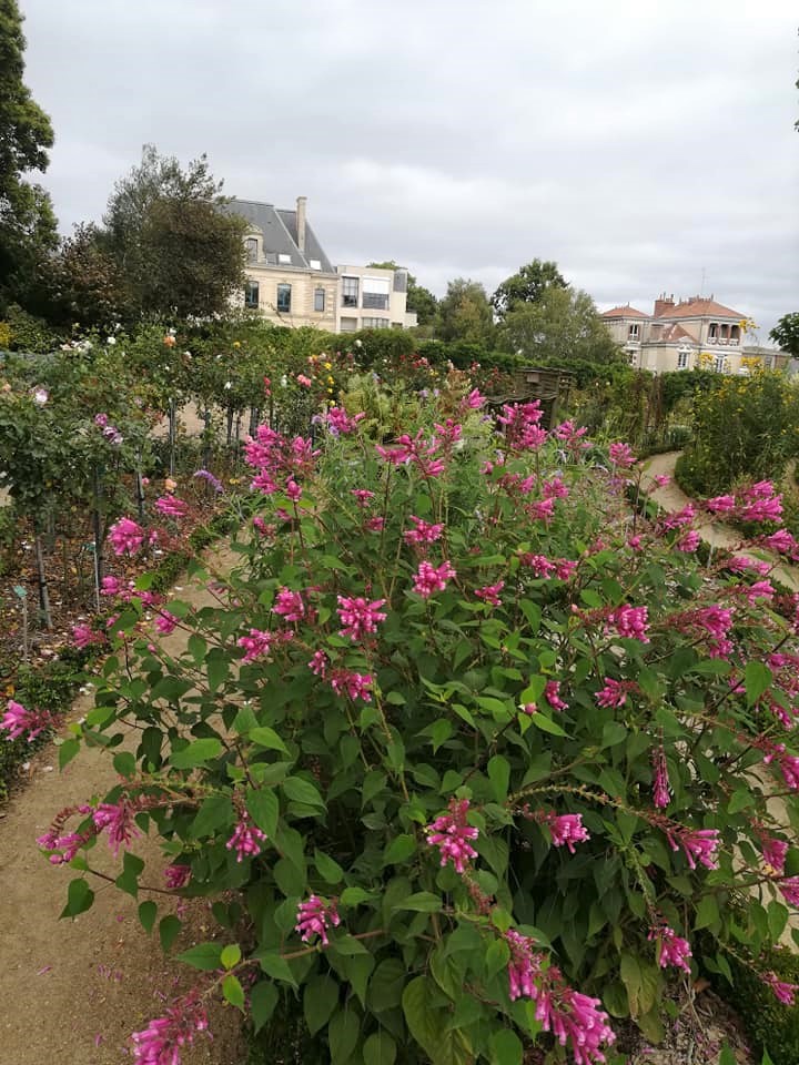 visite archiguide rennes